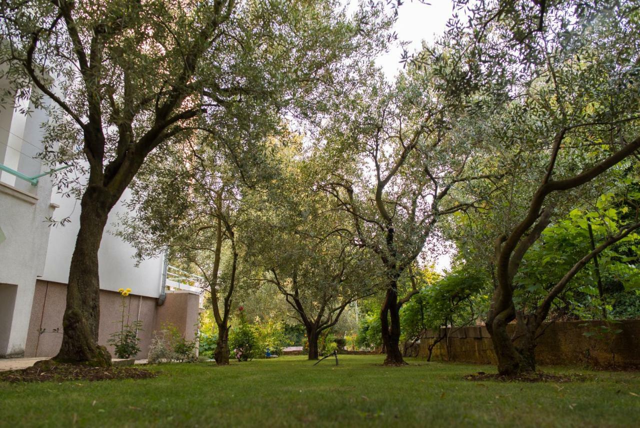 Apartments Villa Lena Zadar Exteriér fotografie
